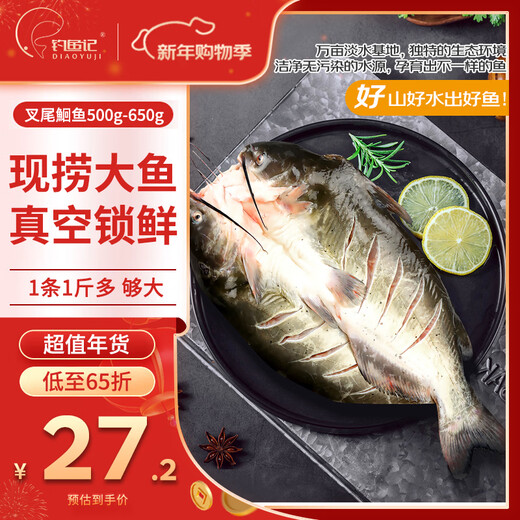 Fishing Notes Channel Catfish 1 Jin Jin is equal to 0.5 kg -1.3 Jin Jin is equal to 0.5 kg, net weight is removed, frozen, grilled fish, red barbecue, fresh, New Year's gift