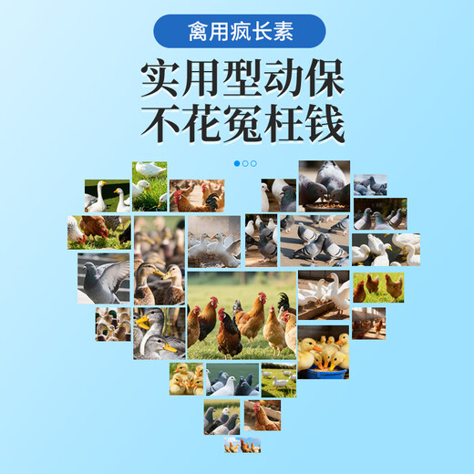 South China Qianmu (SOUTH RANCH) chicken feed, chicken feed, poultry mad growth hormone, weight increasing premix, chicken and duck meat appetizer feed additive, poultry mad growth hormone/1kg/bag