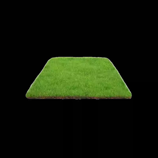 Lawn real grass with soil turf villa courtyard greening Taiwan grass drought-resistant Manila four-season green lawn 1 square meter green grass cannot lack water within 10 years after planting