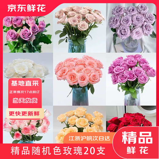 Jingdong Flowers Boutique Soilless Cultivation Roses in Random Colors 20 Pack New Year's Eve and New Year's Day New Year's Eve Gifts 45-50CM Straight from the Source