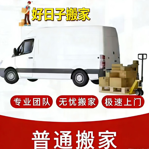 Moving bag moving, packing and organizing medium-sized car moving