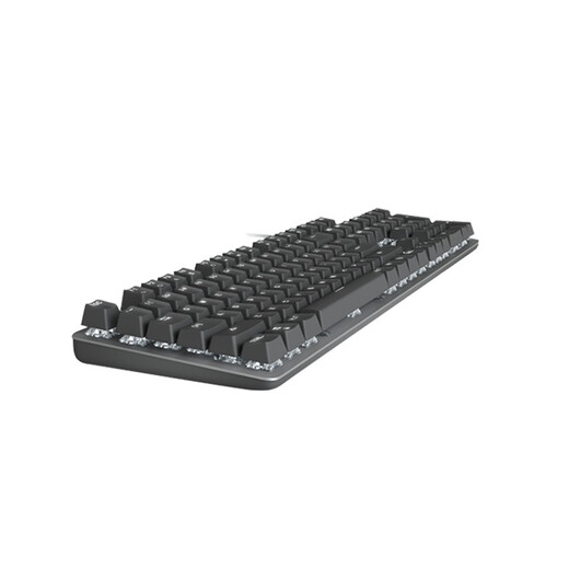 罗技（Logitech） K845 机械键盘有线游戏电竞电脑办公全尺寸发光 104键 吃鸡 英雄联盟键盘鼠标键盘套装 K845（青轴）+GPW四代朱雀