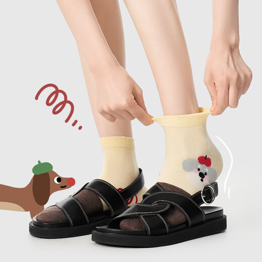 Pami (pami) socks women's short socks girls new summer thin cartoon cute puppy ins trend medium short tube cotton socks Rainbow Park medium short tube-pack_7A_Spring and summer new 5 pairs One size fits all (35-39)