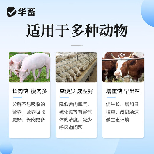 Huazhuang pig big fattening pig fattening animal fattening treasure pig cattle and sheep induce food growth promotion piglet premix 500g pig big strong