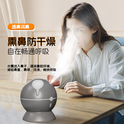 Golden Rice Facial Steamer Beauty Instrument Nano Steam Sprayer Hydrating Instrument Facial Home Can Place Traditional Chinese Medicine Hot and Cold Dual Spray Humidifier KD23312 Long and Short Tube Replaceable Facial Steamer KD23312