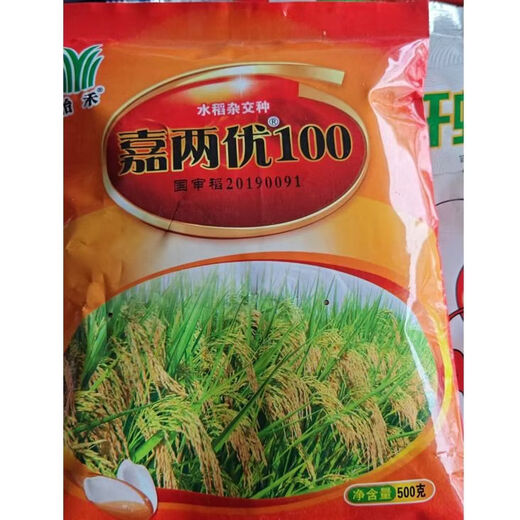 Wangyuan Xingjia Liangyou 100 Гибридные семена риса, одобренные государством, большие семена риса с шипами, карликовые, устойчивые к полеганию семена длиннозерного риса, настоящие Jia Liangyou 100 1 Jin Jin равен 0,5 кг оригинала