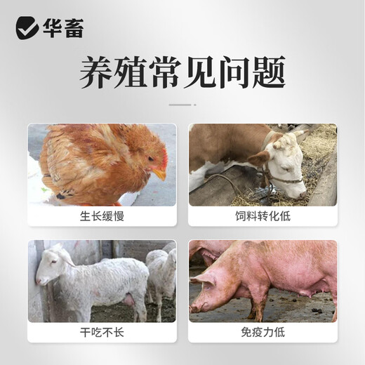 Huazhuang pig big fattening pig fattening animal fattening treasure pig cattle and sheep induce food growth promotion piglet premix 500g pig big strong