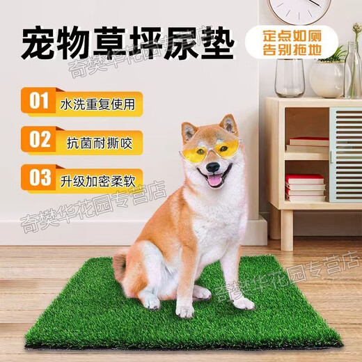 Guanxiang bird dog peeing toilet fake lawn pet peeing fake turf simulated lawn mat urinating carpet floor mat 20mm antibacterial high-efficiency urine grass 50cm*60cm