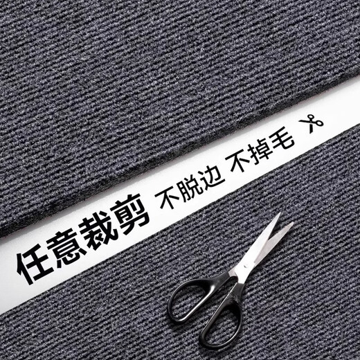 Fantasy bathroom floor mat at the entrance door, water-absorbent, quick-drying, wear-resistant, cuttable non-slip mat, light luxury and high-end toilet foot mat, gray single stripe TP 6mm 80x100cm