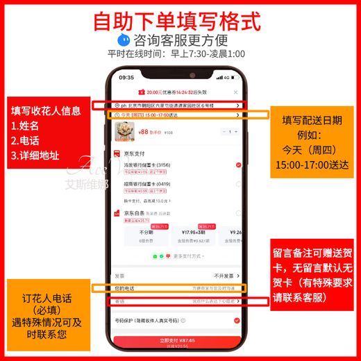 Eswina Valentine's Day Flower Express Sunflower Mix and Match Bouquet Birthday Gifts Nationwide Citywide Delivery Sunflower Champagne Mix and Match Bouquet Upgraded New Style