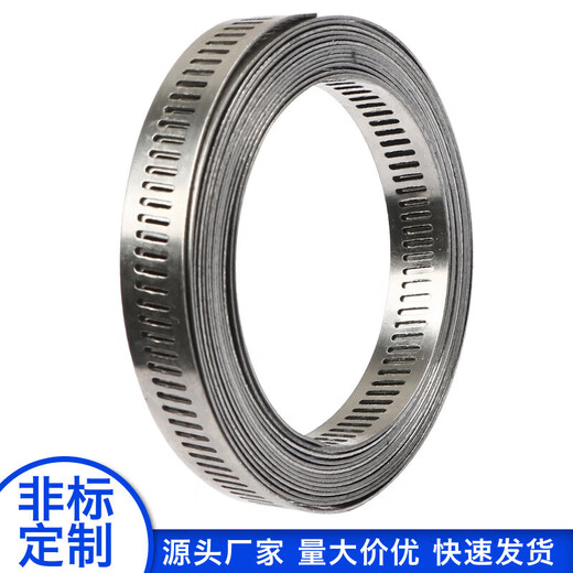 Xu ordered 304 stainless steel homemade American hose hoop clamp large pipe clamp perforated steel belt pipe hoop coil with binding belt 10 hoop heads for 12.6mm