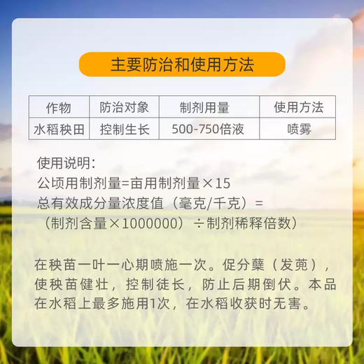 Guoguang 15% paclobutrazol short growth agent to control flourishing plants, vegetables, chrysanthemums, narcissus, flowers, wheat and other plant growth regulators 1000g*10 bags/box