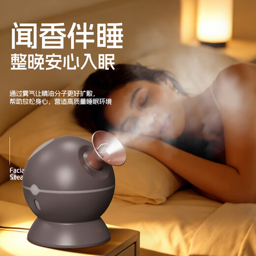 Golden Rice Facial Steamer Beauty Instrument Nano Steam Sprayer Hydrating Instrument Facial Home Can Place Traditional Chinese Medicine Hot and Cold Dual Spray Humidifier KD23312 Long and Short Tube Replaceable Facial Steamer KD23312