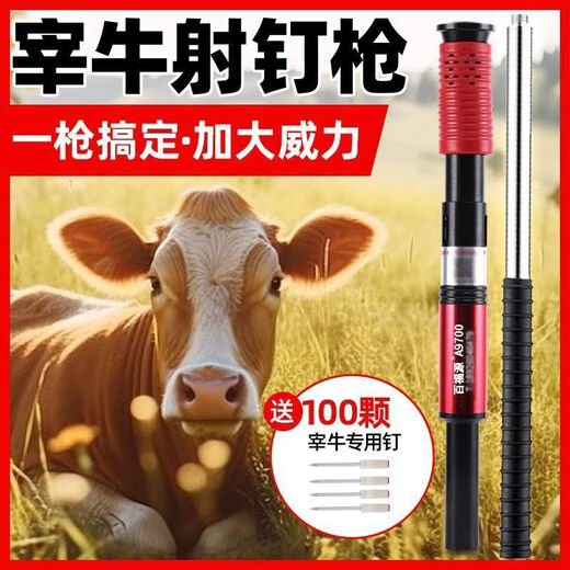 CLCEY slaughters cattle and shoots nails, slaughters pigs, slaughters cattle, kills cattle, special ceiling cannon for nailing, super powerful cattle slaughtering, free 200 powerful nails