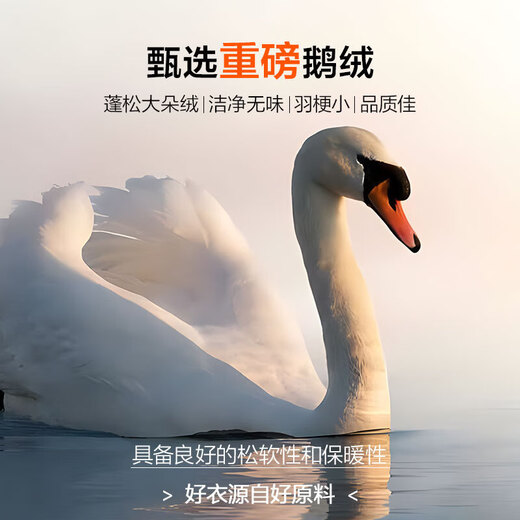 Jiumuwang counter model - high-quality goose down classic stand-up collar lightweight rib down jacket winter soft-pressed men's shopping mall same model beige slim version AK5DW2527 4XL 185/108B (56) down filling capacity 99.0g