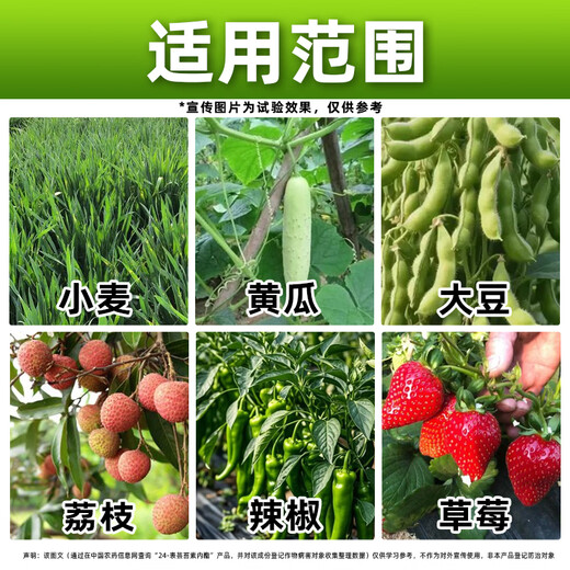 Barometer 24 brassinolide plant growth regulator cucumber special growth regulator genuine agricultural medicine 1000g*12 bottles full box discount save 20 yuan