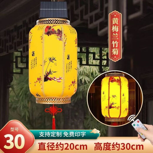 Xushansi 2026 New Year Remote Control Solar USB Charging Chinese Outdoor Imitation Sheepskin Lantern Waterproof and Sunscreen Customized Printing Gold Frame Yellow Plum Orchid Bamboo and Chrysanthemum Style - Two Meters Extended Cord 50 Types Remote Control Solar + USB Charging