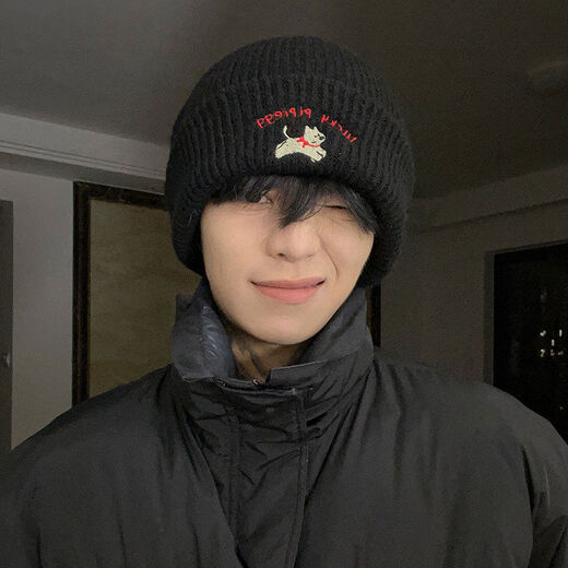 Puppy embroidered thick knitted hat for men 2025 new autumn and winter atmosphere headband warm windproof woolen hat black one size one size elastic