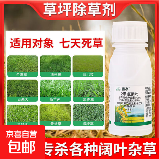 Lawn herbicide removes broadleaf weeds, Manila all-season green green grass, Bermuda bermudagrass lawn herbicide 50 ml, available for 1 acre of land