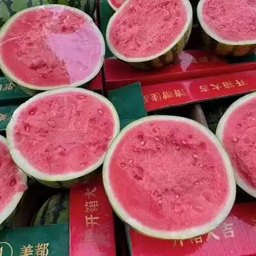 Chunzhiyun Ningbo Wei Meng Meidu Watermelon Seeds Large Fruit Early Good Kirin Melon High Yield and Crack Resistant Good Quality 2000 Wei Meng Meidu *1 bag