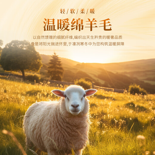 Rich 100% pure sheep wool 420G thickened warm sweater winter men's velvet thick cable-knit round neck men's wool sweater