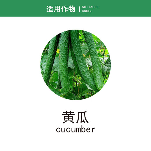 Runhua Federation RUNHUAFEDERATION Dingxian Cuimao organic water-soluble fertilizer chitin disease-resistant and heavy-cropping fruit expansion fruit rooting foliar fertilizer Dingxian 100ml