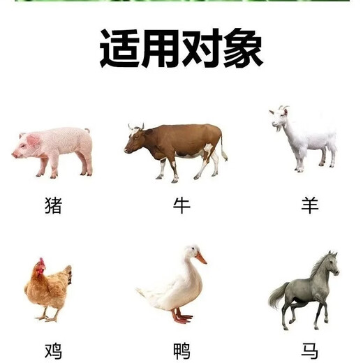 Mucan poultry chickens, ducks, geese and pigeons instant electrolytic multi-dimensional compound premix contains high-quality vitamins and amino acids Super Golden Points for Him 3 bags (affordable price)