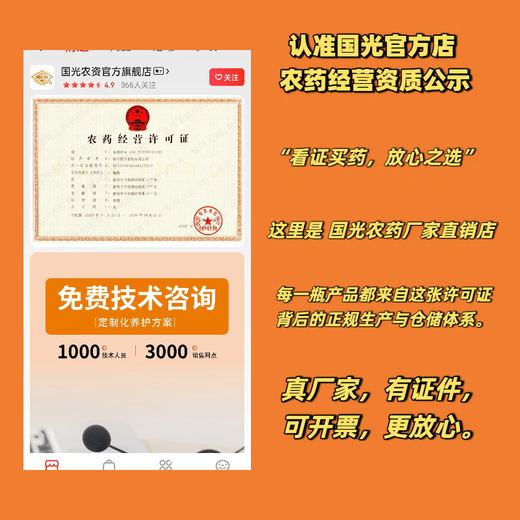 Guoguang Shiteyou clofenuron 0.1% promotes cell division, preserves flowers and fruits, expands fruits, grapes and watermelon official authentic 100mL*1 bottle