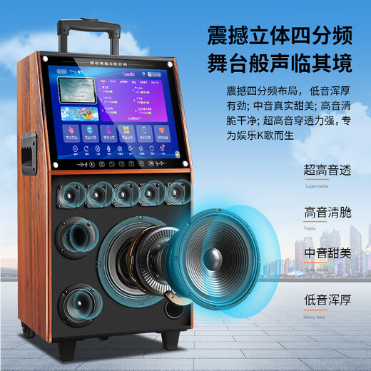 Xianfei square dance audio with display screen outdoor audio karaoke all-in-one trolley speaker mobile bluetooth home KTV audio karaoke machine large volume 29-inch touch version + dual microphones + U disk