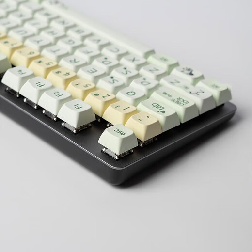 
Logitech K845 mechanical keyboard mechanical key shaft wired mechanical keyboard e-sports game Ti-desk external laptop 104-key full-size single-light commercial model G102 set K845 Pacchard dog-green shaft