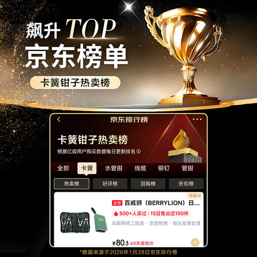 BERRYLION Japanese-style circlip pliers set circlip pliers opening expansion spring retaining ring pliers household 5-inch four-piece set with tool kit