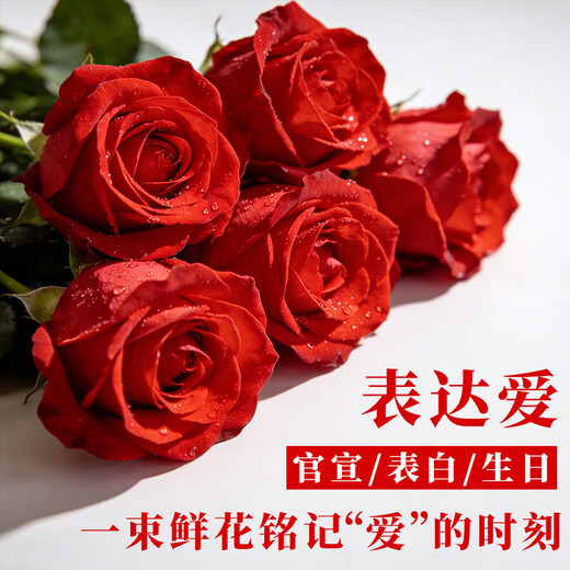 Valentine's Day Flower Express Rose Bouquet for Girlfriend and Wife Confession Birthday Gift Nationwide Citywide Delivery Red Rose Sunflower Lily Mixed Bouquet