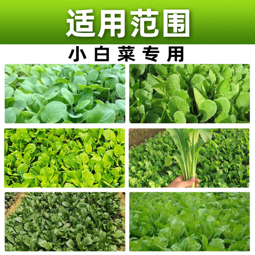 Zhaoyao 24-Epirutamine fresh ester, special growth regulator for Chinese cabbage, special growth regulator for Chinese cabbage, genuine 500ml*20 bottles, save 38 yuan on the whole box purchase
