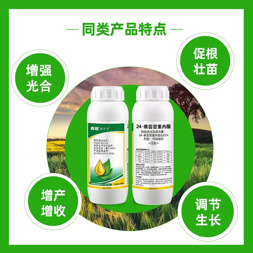 24 epibrassinolides, fruit trees, wheat, flowers and fruits, anti-falling plants, growth regulator pesticides 10g*30 bags