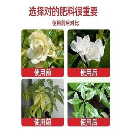 LDVEP acid-replenishing and alkali-removing agent regulates soil pH and prevents yellowing of leaves, green plants and flowers. Universal potted soil activator 5 bottles total 1000g. Acid-replenishing and alkali-removing agent + improve fertility