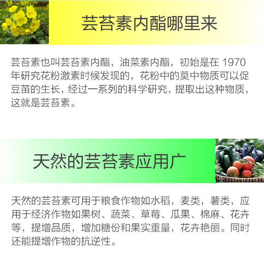 Zhongbao ZhB24 Epi-Brassinolide Lipid Rice Citrus Wheat Cucumber Growth Promoting Root Plant Growth Adjustment 10ml*6 Bags