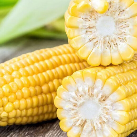 Jingxijia freshly picked golden fruit corn, fresh corn on the cob, popped sweet corn, crispy, sweet, and delicious corn, with box 1Jin Jin is equal to 0.5kg (single root 300g+)
