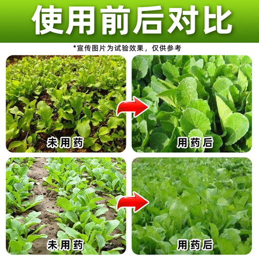 Zhaoyao 24-Epirutamine fresh ester, special growth regulator for Chinese cabbage, special growth regulator for Chinese cabbage, genuine 500ml*20 bottles, save 38 yuan on the whole box purchase