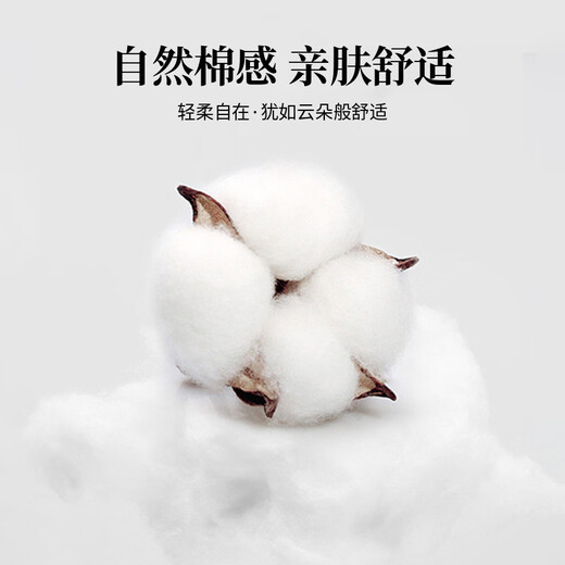 E LAND KIDS children's clothing girls' shirt 2026 spring new French preppy style doll collar top Ivory ivory/39 165