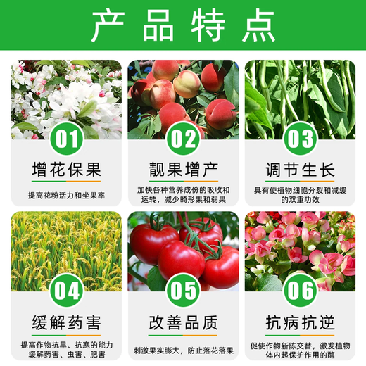 28-Extra high brassinolide fruit tree growth regulator to promote flowering, fruit and seedling growth, foliar fertilizer and antidote for pesticide damage 1000g