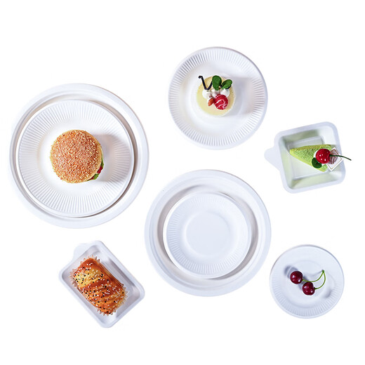 Babic disposable paper plate tableware cake plate barbecue plate Western food plate handmade art painting paper plate 10 inches 20 pieces