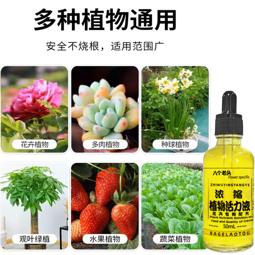 Eight Old Man Plant Vitality Solution Concentrated Nutrient Solution Growth-Promoting Phalaenopsis Hydroponics Moisturizing Green Plants and Flowers Universal Sustained Release Concentrated Plant Vitality Solution 50ml*1 Bottle Gray