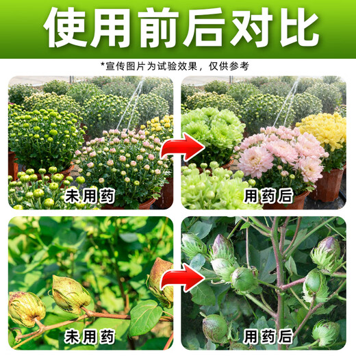 Barometer 4% gibberellic acid to regulate growth, celery vegetables special growth regulator to regulate growth genuine medicine 100g*50 bottles, boxed is more cost-effective