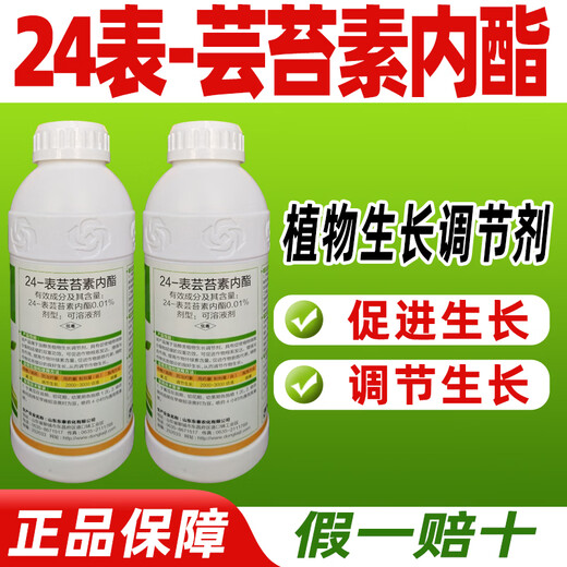 Barometer 24 brassinolide plant growth regulator cucumber special growth regulator genuine agricultural medicine 1000g*12 bottles full box discount save 20 yuan