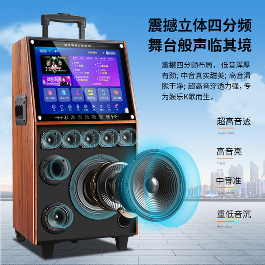 Xianfei outdoor square dance trolley audio with display screen home touch screen portable wifi mobile ktv trolley speaker video and song all-in-one machine 29-inch same screen version + dual microphones + U disk + bracket