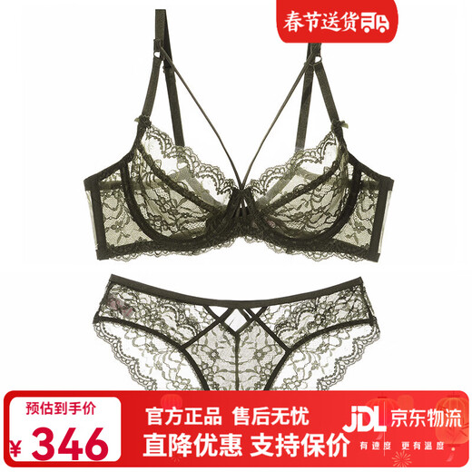 Xuan Sifu Pure Desire Sexy Bra Set Sentimental Underwear Women's Lace Transparent Breast Control Hot Bra Push Up Big Breasts Make Smaller Green Set (Bra + Panties) 80C /36C