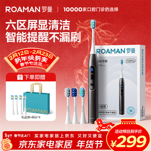ROAMAN Bear smart screen electric toothbrush with tooth surface recognition, recommended by dentists for deep cleaning, whitening and gum protection, as a birthday, Christmas and New Year gift for male and female friends, T10Pro Gray
