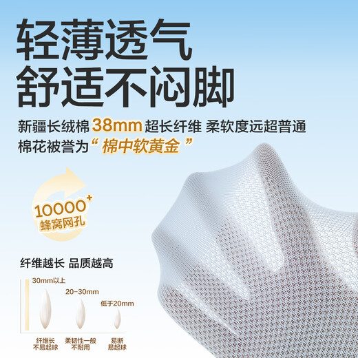 Baby Newborn Baby Socks Spring and Autumn 100% Cotton Autumn and Winter Children's Socks Male and Female Baby Mid-Tube Socks Summer Dinosaur Car Spring and Summer Soft Upgrade 100% Cotton 5 Pairs 2-3 Years Old Suitable for Shoe Size 21-24