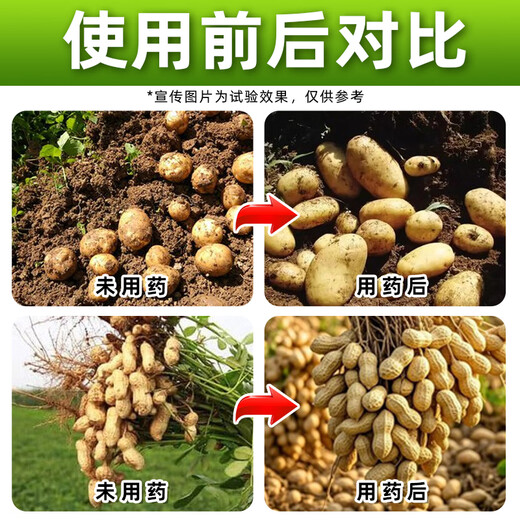 Shuofang 60% Choline Chloride Plant Growth Regulator Peanut Potato Growth Regulator Agricultural Genuine Drug 100g*2 Bottles Store Hot Sale