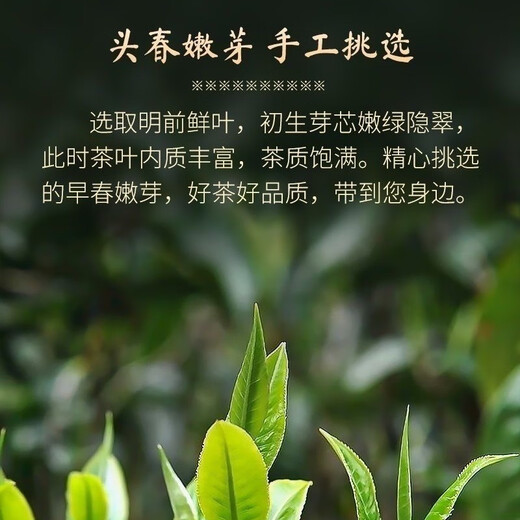 Ganxiangpo Xiangzhen Green Tea 2024 New Tea Yunnan Green Tea Strong Fragrance Type Hair Tip Spring Tip Silver Silk Pine Needle 2024 Green Tea Pine Needle Bag 500g